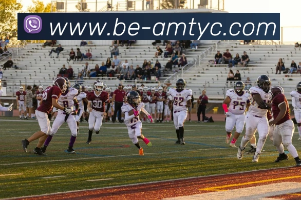 太阳城网站APP 封面图